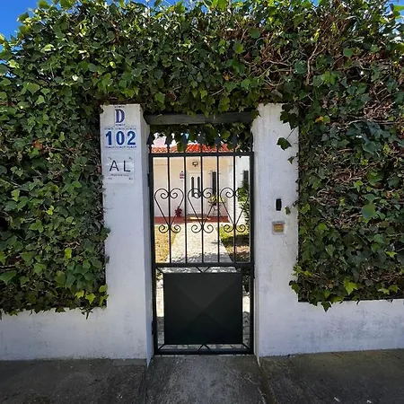 Ivy House